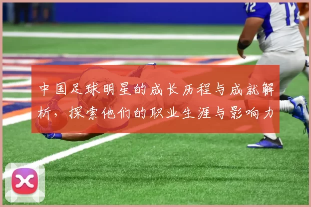 中国足球明星的成长历程与成就解析，探索他们的职业生涯与影响力