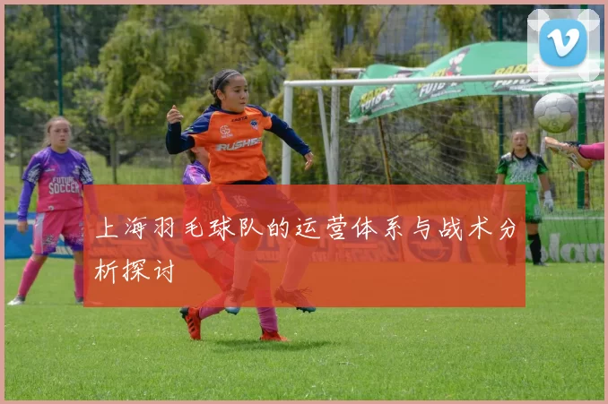 上海羽毛球队的运营体系与战术分析探讨