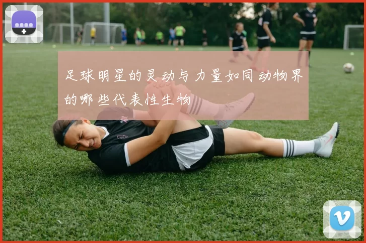 足球明星的灵动与力量如同动物界的哪些代表性生物