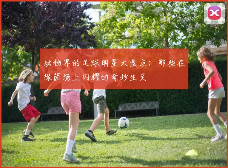 动物界的足球明星大盘点：那些在绿茵场上闪耀的奇妙生灵